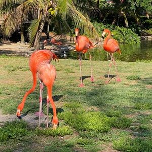 Meet your Posher, Iuli